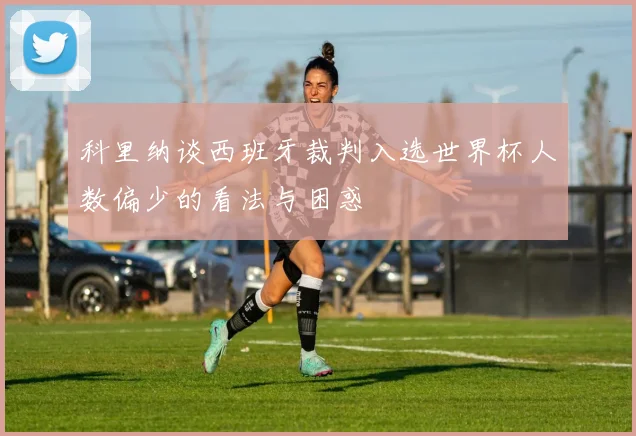 科里纳谈西班牙裁判入选世界杯人数偏少的看法与困惑