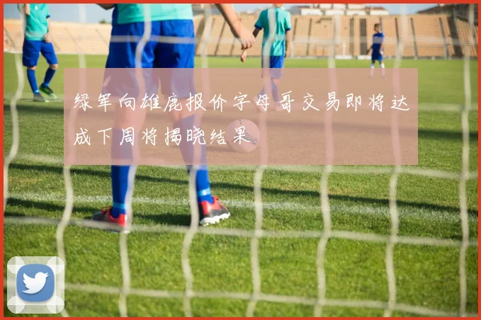 绿军向雄鹿报价字母哥交易即将达成下周将揭晓结果